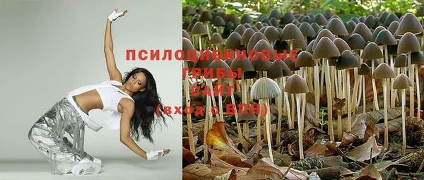 соль ск Мегион