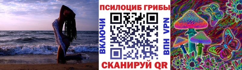 Купить закладки  Канаш  Галлюциногенные грибы Psilocybe 